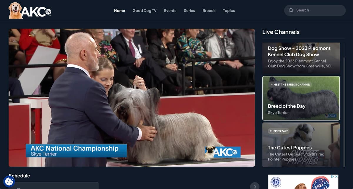 AKC TV
