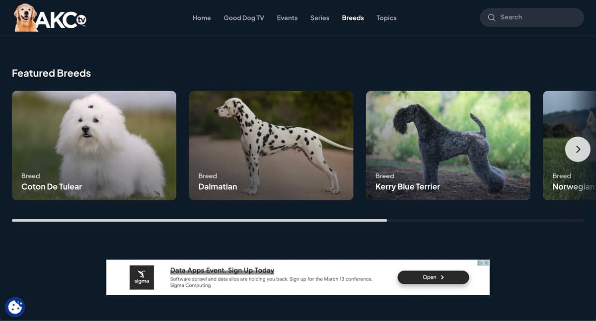 AKC TV